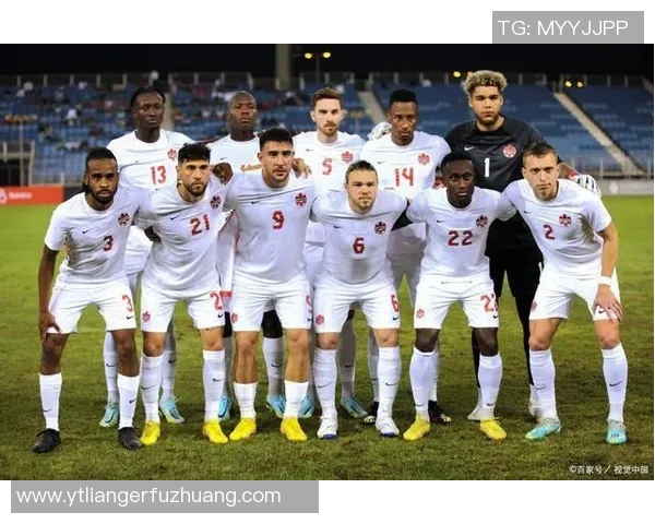 2002年伊朗足球明星阵容揭秘及其在世界杯上的表现分析