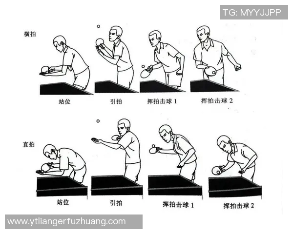 上海乒乓球队的节奏对比与战术分析深度解读
