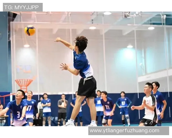 上海排球队实力不容小觑排球力量排行榜中荣获第八名