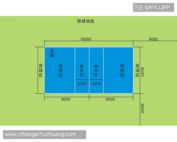 上海排球队状态深度对比分析与未来发展趋势探讨