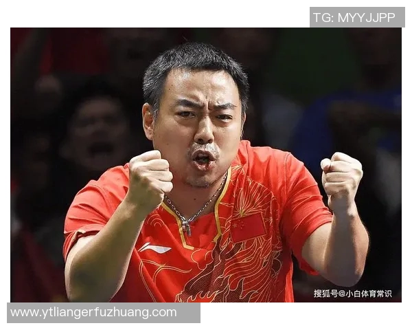 刘伟乒乓球生涯的深度对话与人生启示探讨