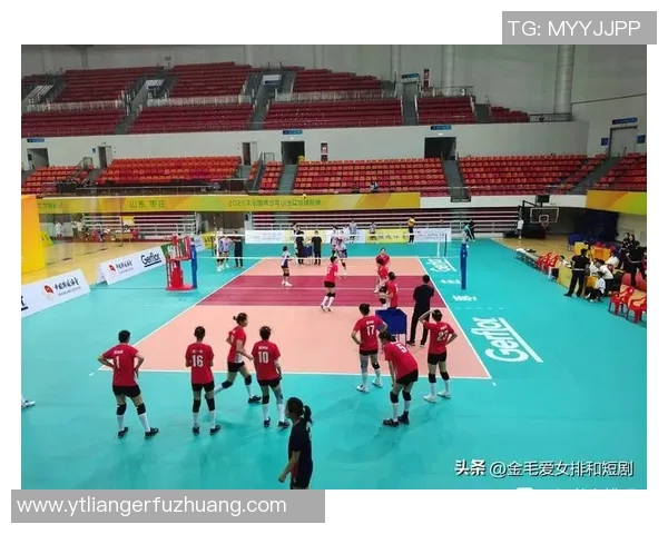 南京排球队技术实力提升排球技术排行榜中荣获第九名 南京排球队技术实力提升排球技术排行榜中荣获第九名