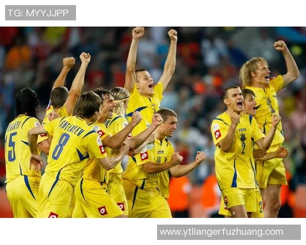 波黑足球明星盘点他们在国际赛场上的辉煌成就与影响力