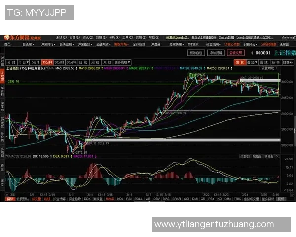 武汉排球队与北京排球队赛后复盘分析比赛节奏与战术对比