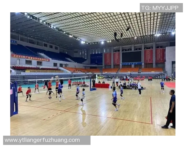 深圳排球队在排球比赛中创下新高经验排名引发热议